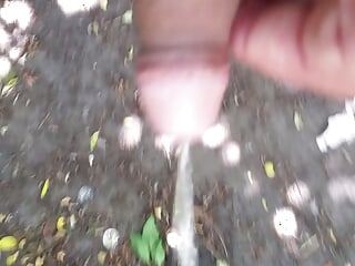 Pissing in the park and cock massage