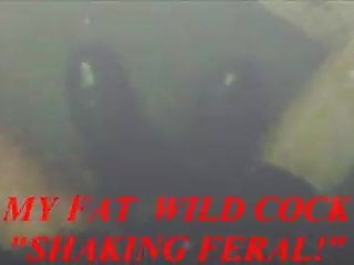 MY FAT  WILD COCK SHAKING FERAL