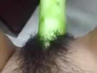 Hairy cucumber...