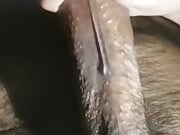 Nicely pulse Stroke heavily Cumming