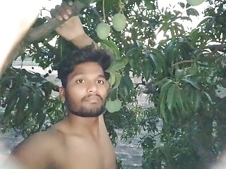 crispy Mango tree Part 1-? Funny Moments for Sexi Talking voice video of him suking one the mango that day