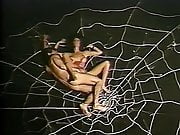 Web of Seduction