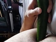 me and my cucumber