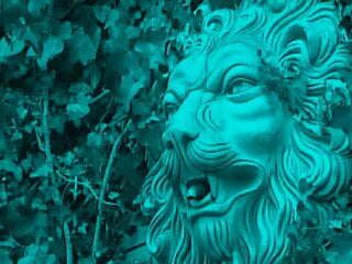 Echte Schlampen, die einen Orgasmus suchen - Episode 2 - Bild 4