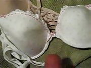 my girlfriends bras