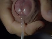 MACRO CUMSHOT SPERM ERUPTION