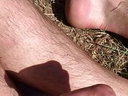 Jerkin and cumming in the field 