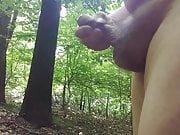 Jerking off naked in woods 2018