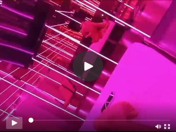 cheating wife wanted to ride in anal sex just the top of the cock and got fucked hard then got her pussy creampied
