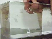 cum in water, in a container like a small aquarium - 02