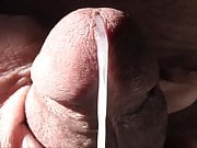 Close up cumshot - thick cum