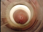 Inside Fleshlight