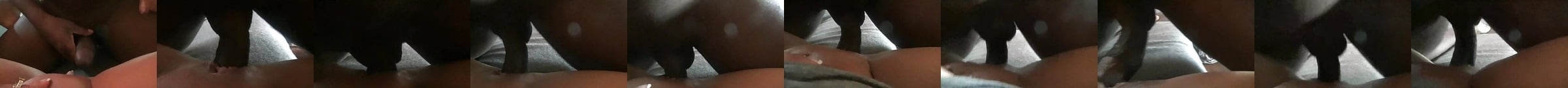 Cuck Wife Gets Creampied By BBC Free Porn 17 XHamster XHamster