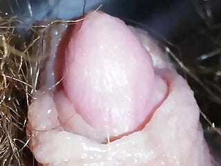 Huge, Clit, Big Clitoris, Huge Clitoris