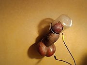 Subject L2's cock estim milking and cum collection