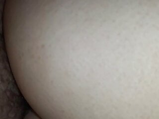HD Videos, Creampie, Anal, Analed