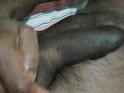 Sri lankan Big Black Shaved dick. 