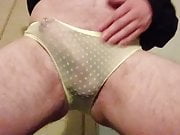 New yellow pantie