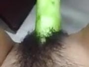 Hairy cucumber 