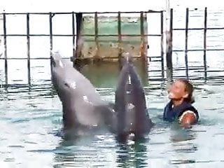 Dolphins Sex Video